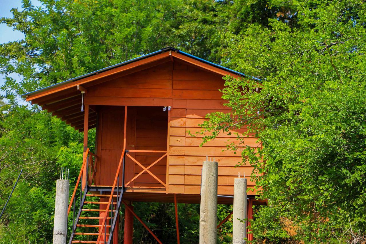 Sigiri Royal Point Tree House Hotel Sigiriya Exterior foto