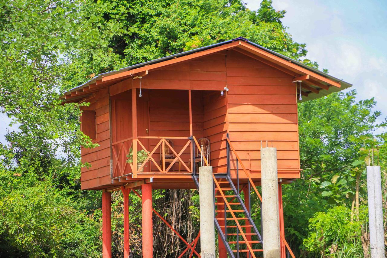Sigiri Royal Point Tree House Hotel Sigiriya Exterior foto