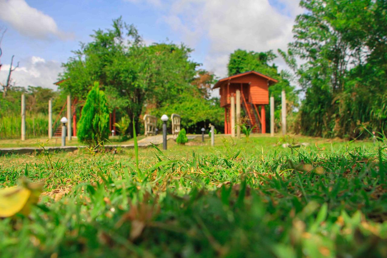 Sigiri Royal Point Tree House Hotel Sigiriya Exterior foto