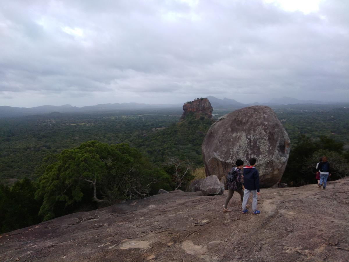 Sigiri Royal Point Tree House Hotel Sigiriya Exterior foto