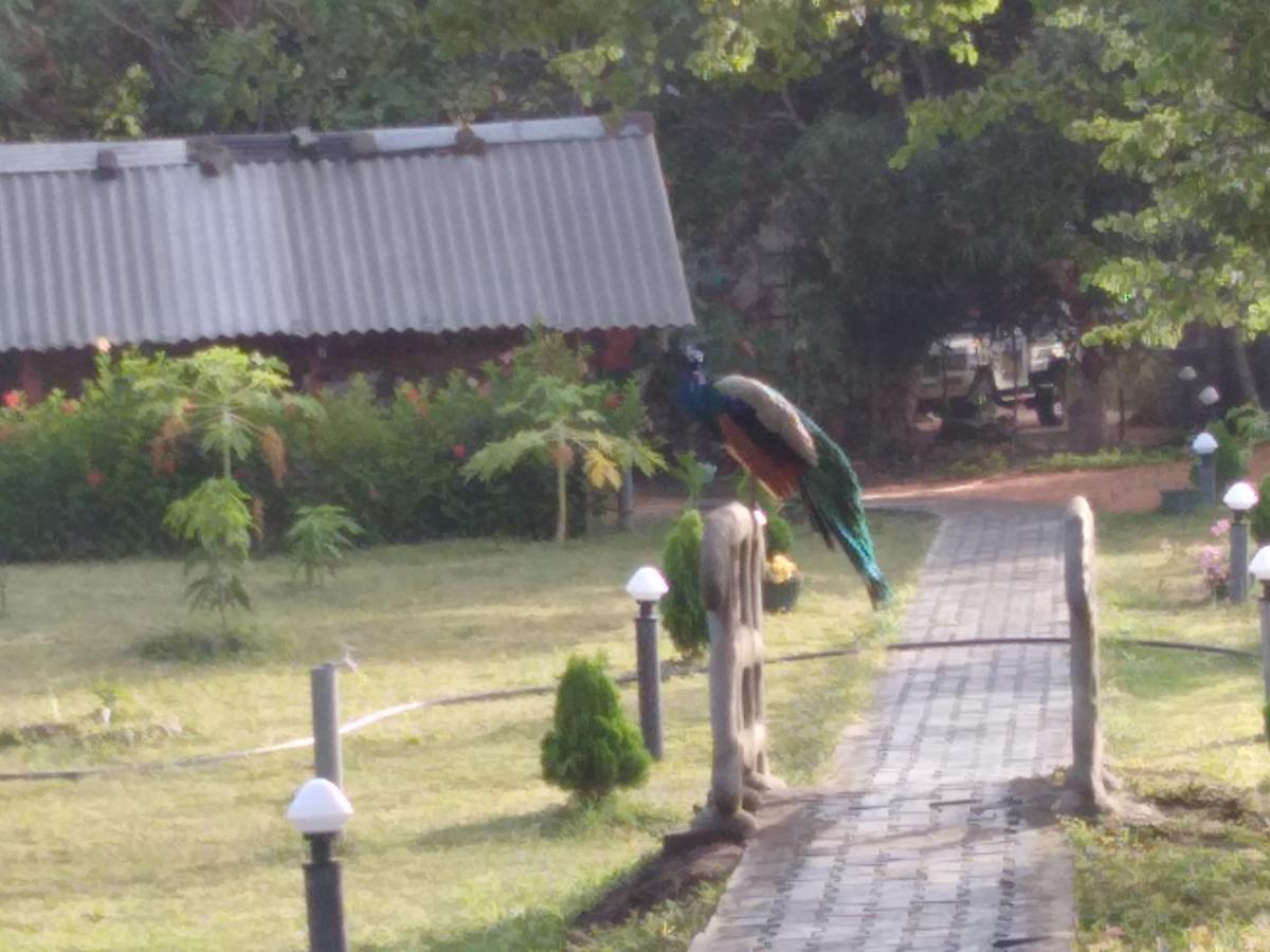 Sigiri Royal Point Tree House Hotel Sigiriya Exterior foto