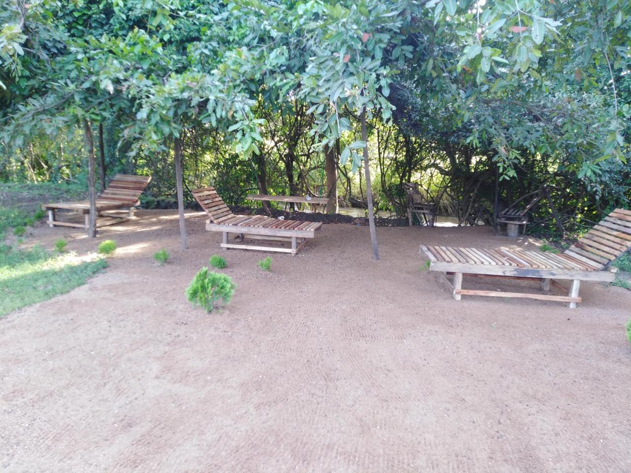 Sigiri Royal Point Tree House Hotel Sigiriya Exterior foto